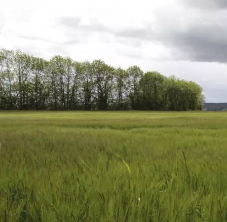 indicateurs de performance agricole