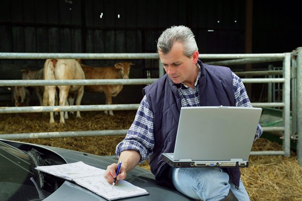 analyse financière agricole