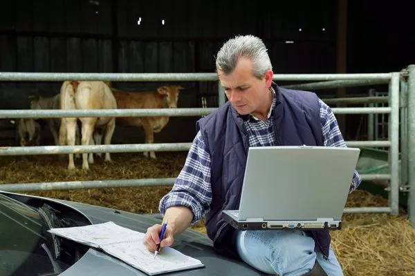 analyse financière agricole