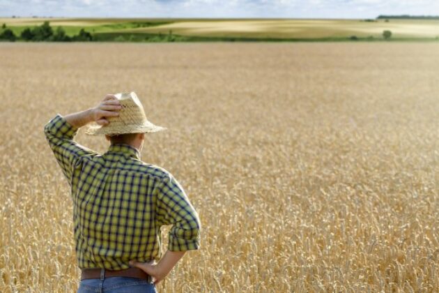 droit-preemption-fermier-vente-terrain-agricole