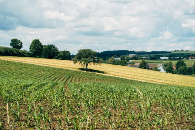 épandage de produits phytosanitaires