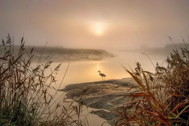 Pollution des eaux