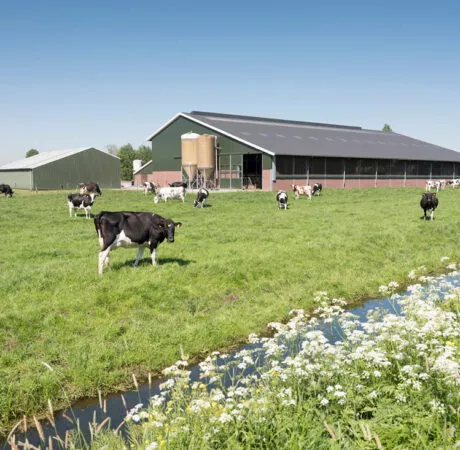 acheter-ou-vendre-une-exploitation-agricole