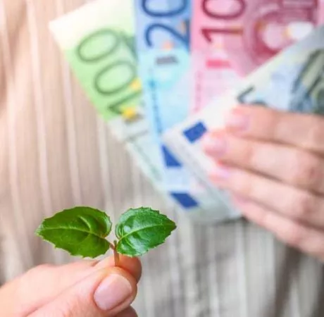 Aides de minimis