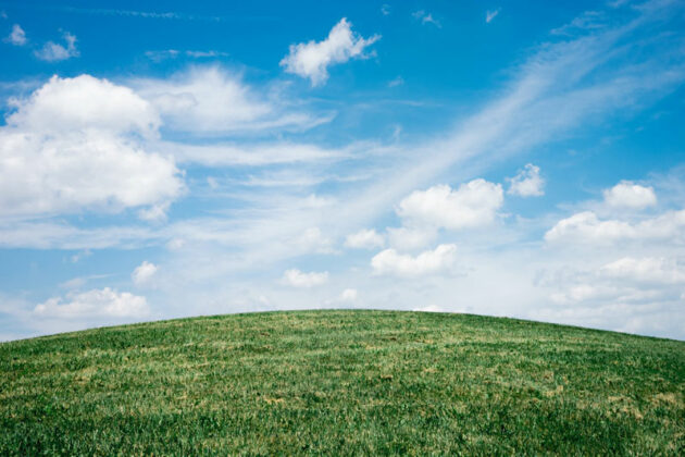 Ammoniac agriculture