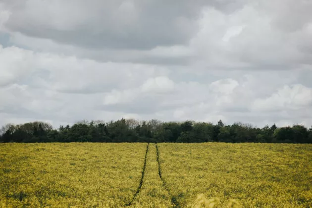 Conditionnalité des aides PAC