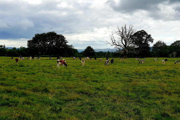 Plan de relance agricole