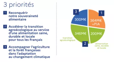 plan de relance