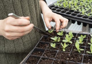 Recrutement en agriculture