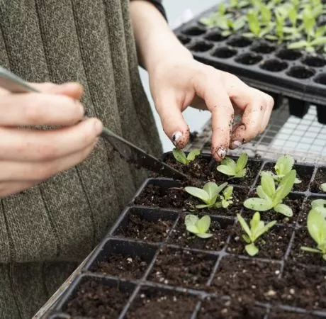 Recrutement en agriculture