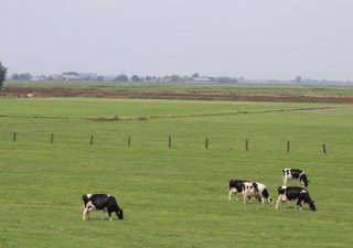 société agrciole