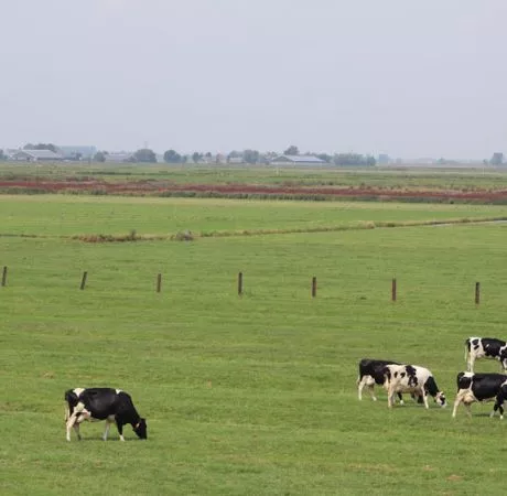 société agrciole