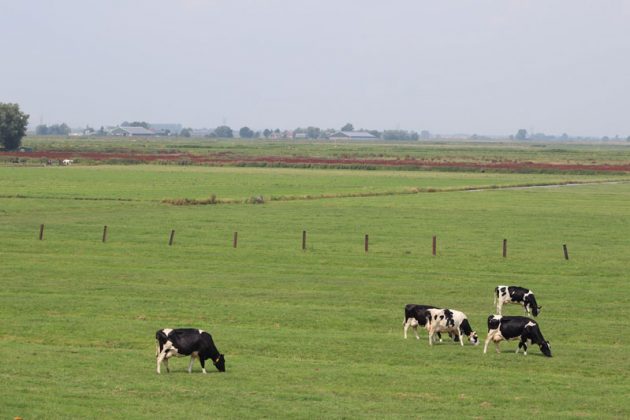 société agrciole