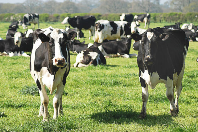 Comptabilité agricole