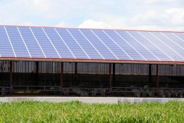 énergies renouvelables agriculture