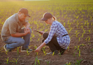 optimisation entreprise agricole