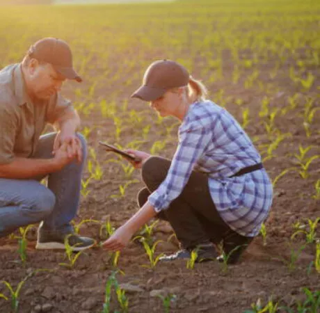 optimisation entreprise agricole