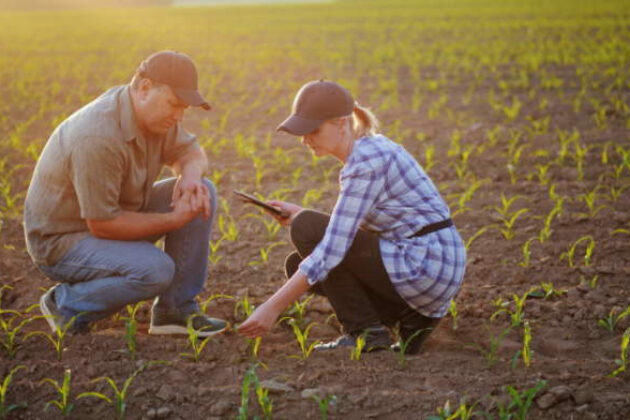 optimisation entreprise agricole