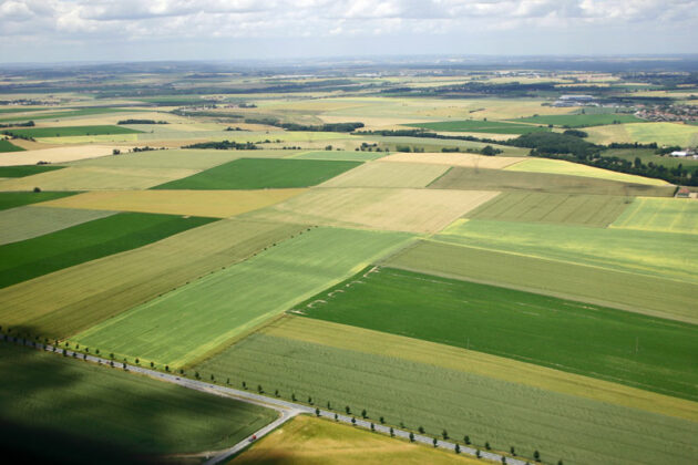 Foncier agricole