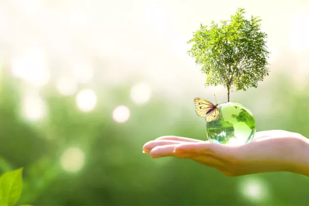 Loi climat et résilience