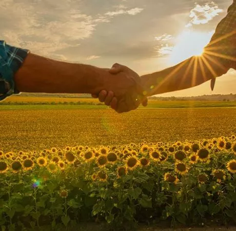 Vente exploitation agricole