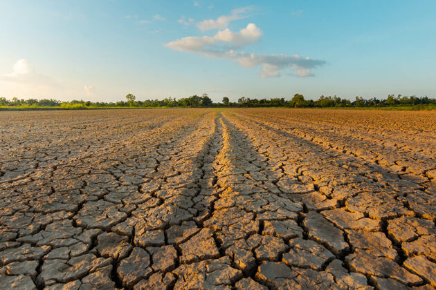 Calamité agricole