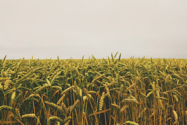 conseil-exploitation-agricole-fev-2022-agriPME
