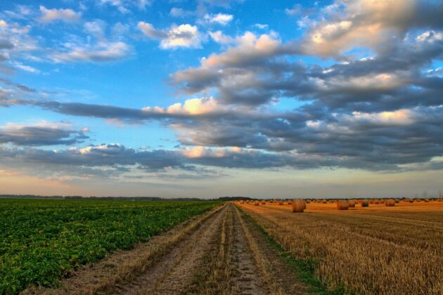 societe agricole foncier agriPME