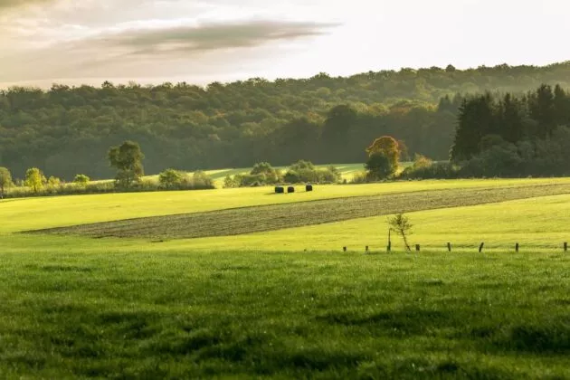 BCAE7 groupe Cogedis