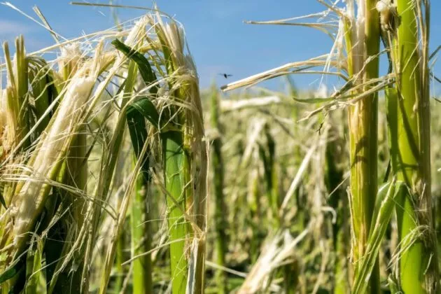 Indemnisation par la Solidarité Nationale