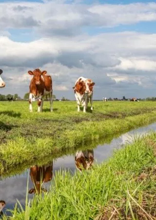 Obligations et interdiction en matière d'entretien des fossés et cours d'eau