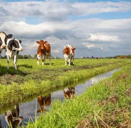 Obligations et interdiction en matière d'entretien des fossés et cours d'eau