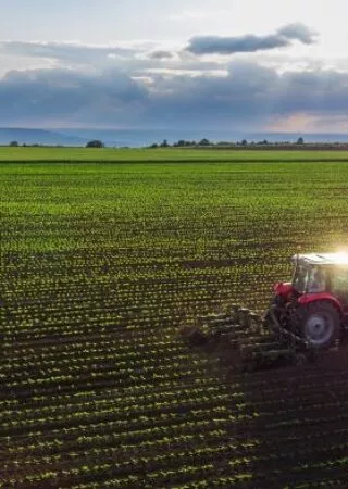 Statut de l'exploitant agricole