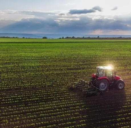 Statut de l'exploitant agricole