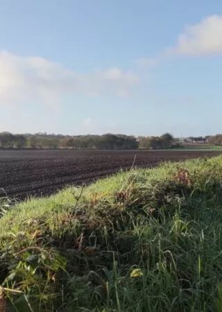 Dématérialisation des demandes d'autorisation d'exploiter en Bretagne