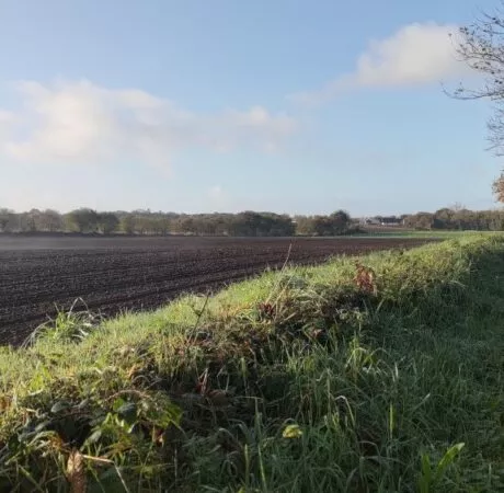 Dématérialisation des demandes d'autorisation d'exploiter en Bretagne