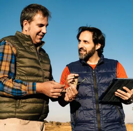 Expert comptable suivi de mon entreprise agricole