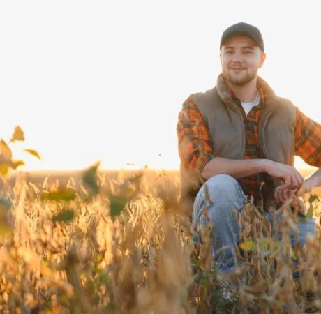 Conseil chef d'entreprise agricole