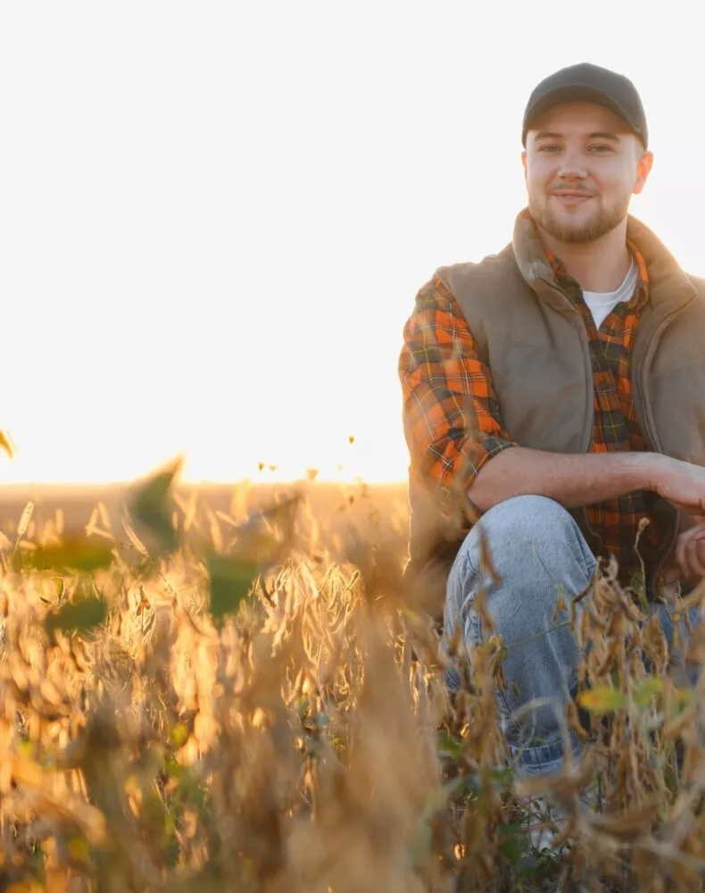 Conseil chef d'entreprise agricole